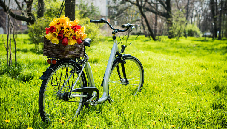 spring